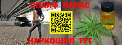 гидра Славгород