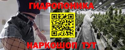 крисы Сланцы