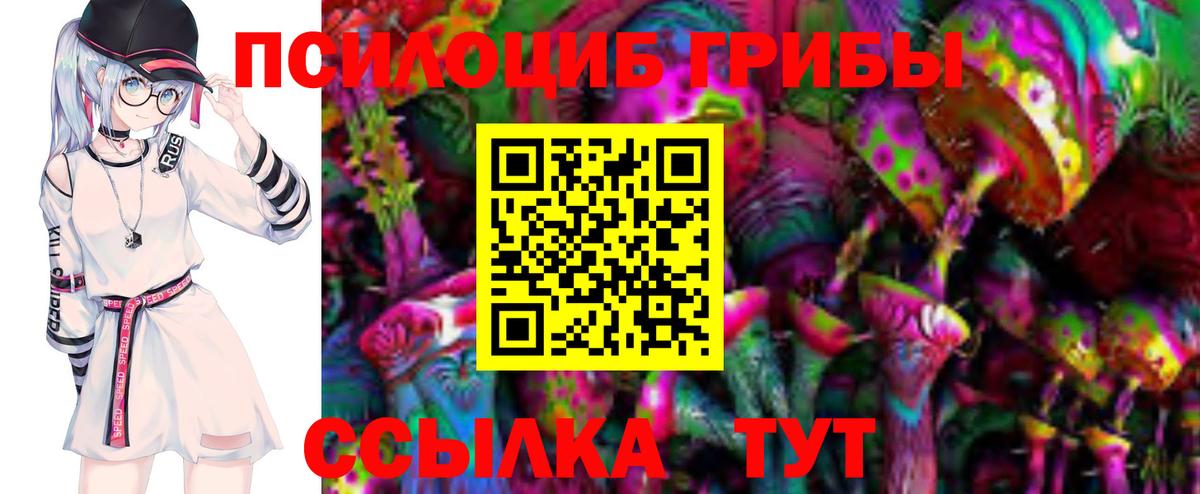 Галлюциногенные грибы GOLDEN TEACHER  Вход с VPN  Новороссийск 